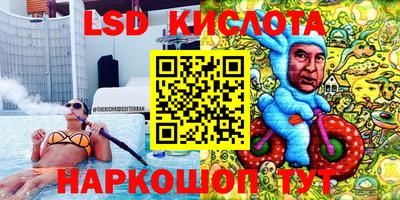 молекула духа Новокубанск