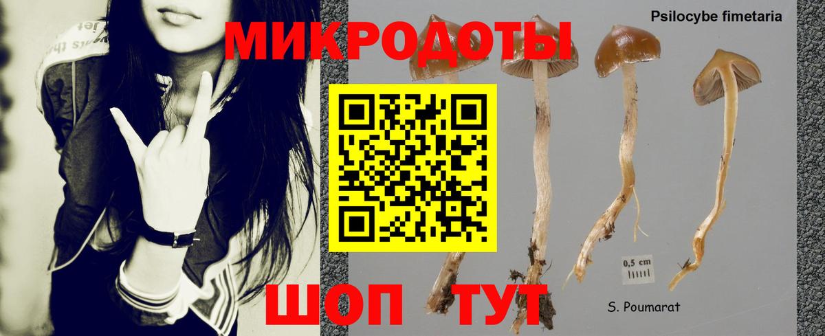 Псилоцибиновые грибы Psilocybine cubensis Пенза